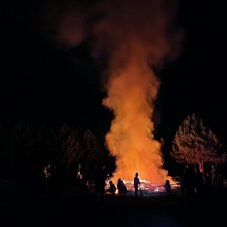 Ferienpark-Canow Dış mekan fotoğraf