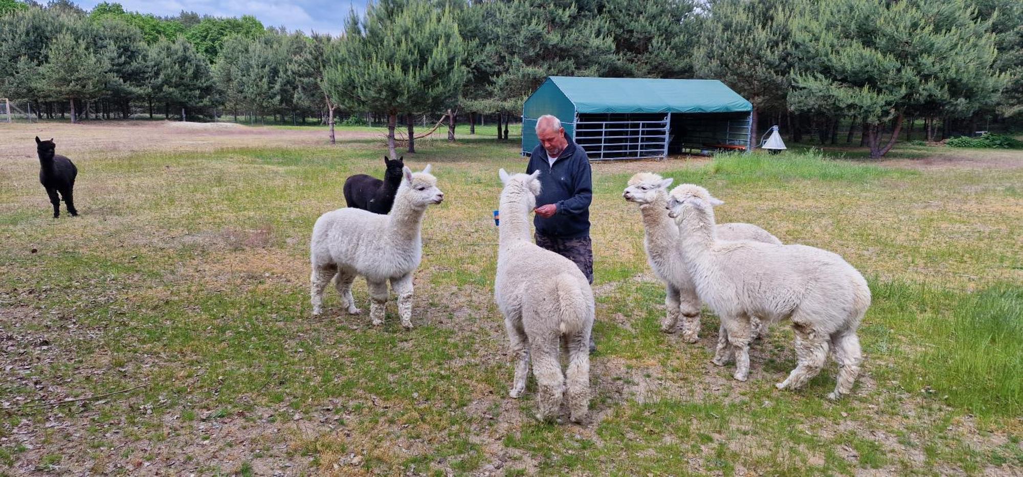 Ferienpark-Canow Dış mekan fotoğraf