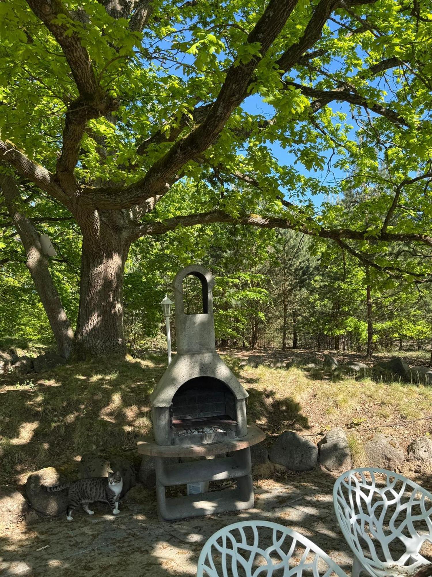 Ferienpark-Canow Dış mekan fotoğraf